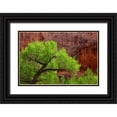 thumbnail image 1 of Paulson, Don 24x17 Black Ornate Wood Framed with Double Matting Museum Art Print Titled - Utah, Arches NP Cottonwood tree against red rock, 1 of 4