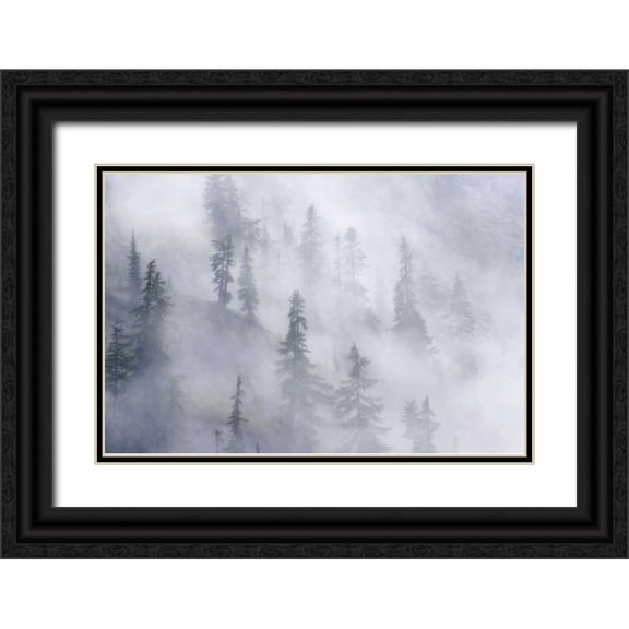 Paulson, Don 24x17 Black Ornate Wood Framed with Double Matting Museum Art Print Titled - WA, Mount Baker Dense fog blankets mountainside