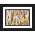 thumbnail image 1 of Paulson, Don 24x17 Black Ornate Wood Framed with Double Matting Museum Art Print Titled - WA, Seabeck Maple leaf on Japanese forest grass, 1 of 4