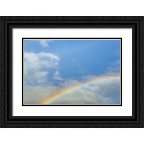 Paulson, Don 24x17 Black Ornate Wood Framed with Double Matting Museum Art Print Titled - Washington, Seabeck Rainbow in light rainfall