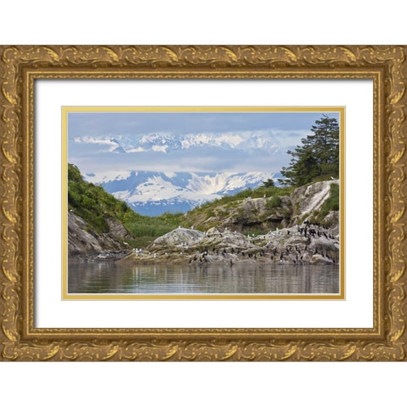Paulson, Don 24x17 Gold Ornate Wood Framed with Double Matting Museum Art Print Titled - AK, Glacier Bay NP Cormorants on rocks