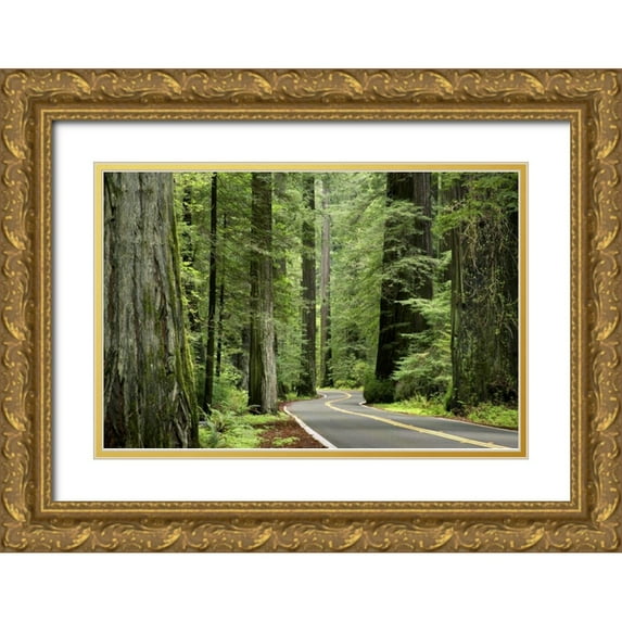 Paulson, Don 24x17 Gold Ornate Wood Framed with Double Matting Museum Art Print Titled - CA, Humboldt Redwoods SP, Avenue of the Giants