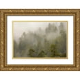 thumbnail image 1 of Paulson, Don 24x17 Gold Ornate Wood Framed with Double Matting Museum Art Print Titled - CA, Redwood Creek Overlook Fog covers the forest, 1 of 4