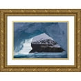 thumbnail image 1 of Paulson, Don 24x17 Gold Ornate Wood Framed with Double Matting Museum Art Print Titled - South Georgia Island, Iris Bay Iceberg arch, 1 of 4