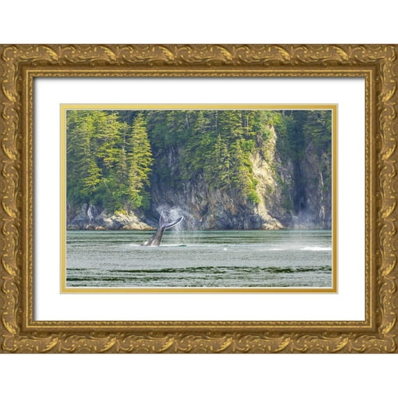 Paulson, Don 24x17 Gold Ornate Wood Framed with Double Matting Museum Art Print Titled - USA, Alaska Humpback whale tail lobbing