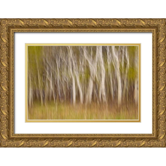Paulson, Don 24x17 Gold Ornate Wood Framed with Double Matting Museum Art Print Titled - USA, Montana Aspen forest abstract