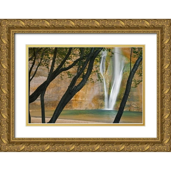 Paulson, Don 24x17 Gold Ornate Wood Framed with Double Matting Museum Art Print Titled - USA, Utah View of Calf Creek Falls through trees