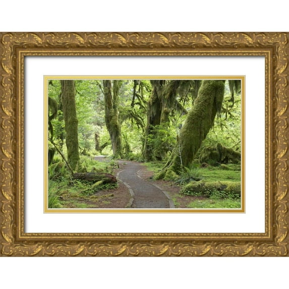 Paulson, Don 24x17 Gold Ornate Wood Framed with Double Matting Museum Art Print Titled - WA, Olympic NP Hall of Mosses Trail