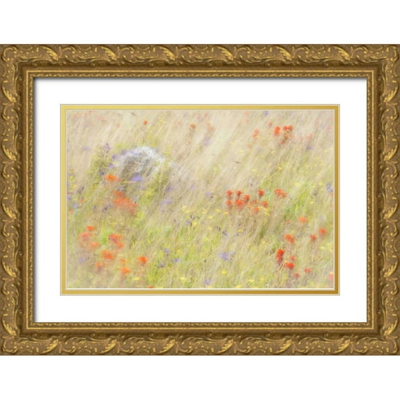 Paulson, Don 24x17 Gold Ornate Wood Framed with Double Matting Museum Art Print Titled - WA, San Juans Field of flowers and grasses