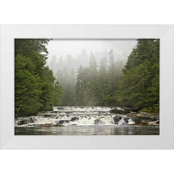 Paulson, Don 24x17 White Modern Wood Framed Museum Art Print Titled - Canada, BC Canoona River waterfalls by forest