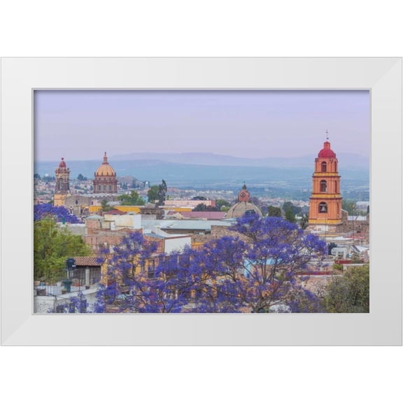 Paulson, Don 24x17 White Modern Wood Framed Museum Art Print Titled - Mexico, San Miguel de Allende Jacaranda and city