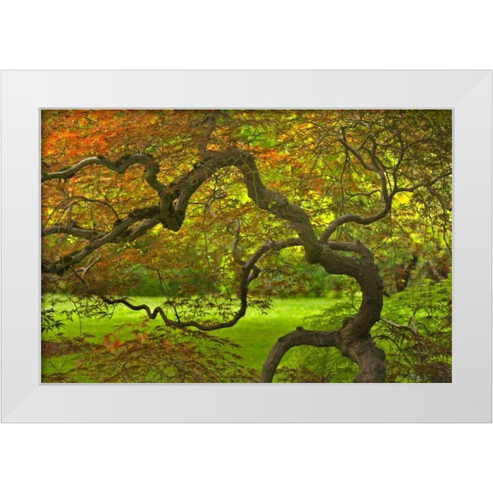 Paulson, Don 24x17 White Modern Wood Framed Museum Art Print Titled ...