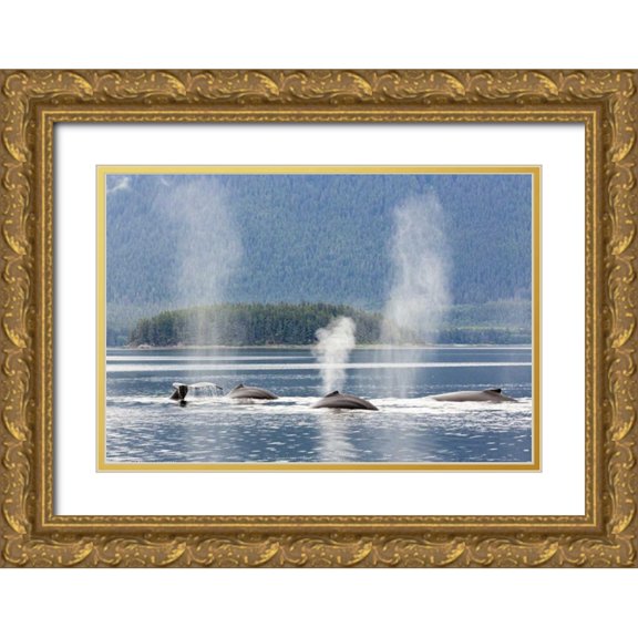 Paulson, Don 24x18 Gold Ornate Wood Framed with Double Matting Museum Art Print Titled - AK, Seymour Canal Diving humpback whales