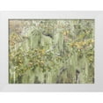 thumbnail image 1 of Paulson, Don 24x19 White Modern Wood Framed Museum Art Print Titled - CA, Los Osos Oaks State Reserve Lichens on oak, 1 of 4