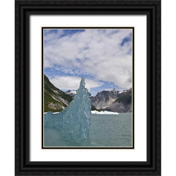 Paulson, Don 25x32 Black Ornate Wood Framed with Double Matting Museum Art Print Titled - AK, Glacier Bay NP Floating iceberg