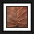 thumbnail image 1 of Paulson, Don 26x26 Black Ornate Wood Framed with Double Matting Museum Art Print Titled - Bahamas, Little Exuma Island Sea grape leaf, 1 of 4