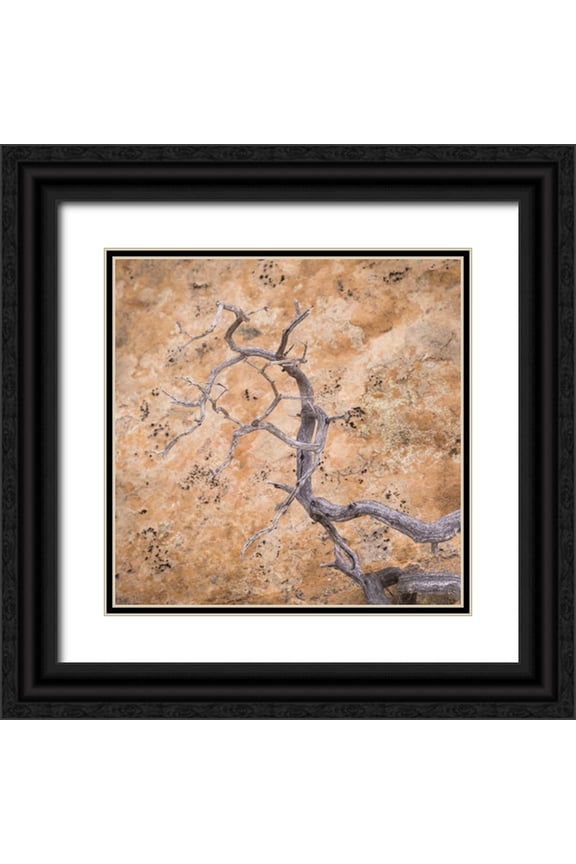 Paulson, Don 26x26 Black Ornate Wood Framed with Double Matting Museum Art Print Titled - UT, Dixie NF Twisted dead branch and rock wall