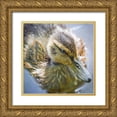thumbnail image 1 of Paulson, Don 26x26 Gold Ornate Wood Framed with Double Matting Museum Art Print Titled - Washington State, Seabeck Mallard duck chick, 1 of 4