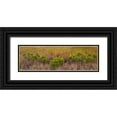 thumbnail image 1 of Paulson, Don 32x13 Black Ornate Wood Framed with Double Matting Museum Art Print Titled - TX, Guadalupe Mountains NP Bushes and grasses, 1 of 4