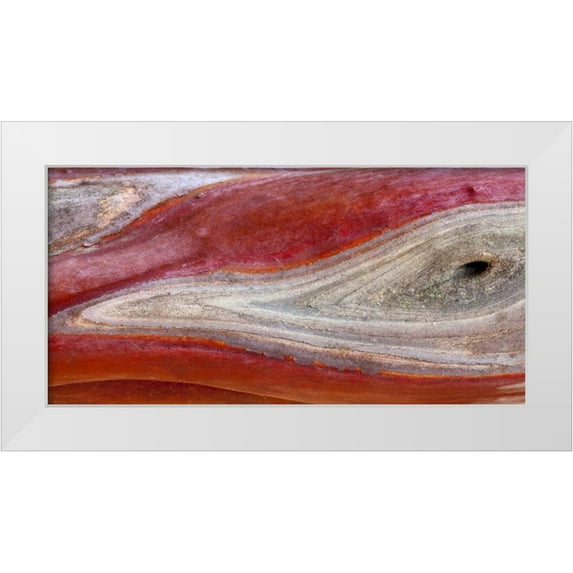 Paulson, Don 32x18 White Modern Wood Framed Museum Art Print Titled - California, Mount Diablo SP Manzanita wood