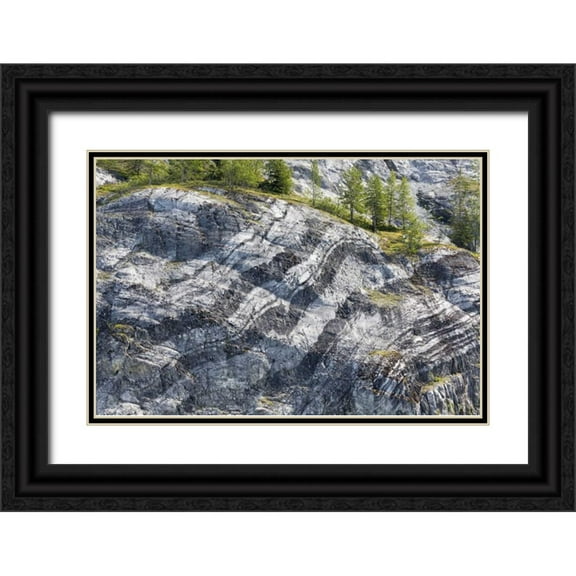 Paulson, Don 32x23 Black Ornate Wood Framed with Double Matting Museum Art Print Titled - AK, Glacier Bay NP Striated rock on Gloomy Knob
