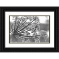 thumbnail image 1 of Paulson, Don 32x23 Black Ornate Wood Framed with Double Matting Museum Art Print Titled - Alaska, Glacier Bay Cow parsnip in Bartlett Cove, 1 of 4
