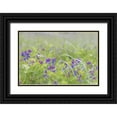 thumbnail image 1 of Paulson, Don 32x23 Black Ornate Wood Framed with Double Matting Museum Art Print Titled - Alaska, Glacier Bay NP Wildflowers in meadow, 1 of 4