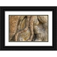 thumbnail image 1 of Paulson, Don 32x23 Black Ornate Wood Framed with Double Matting Museum Art Print Titled - California, Inyo NF Gnarled pine tree trunk, 1 of 4