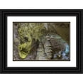 thumbnail image 1 of Paulson, Don 32x23 Black Ornate Wood Framed with Double Matting Museum Art Print Titled - New Mexico, Carlsbad Caverns Scenic of cavern, 1 of 4
