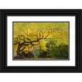 thumbnail image 1 of Paulson, Don 32x23 Black Ornate Wood Framed with Double Matting Museum Art Print Titled - Oregon, Ashland Lithia Park yellow maple trees, 1 of 4