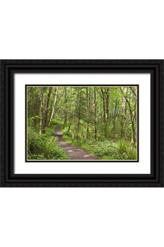 Paulson, Don 32x23 Black Ornate Wood Framed with Double Matting Museum Art Print Titled - Oregon, Columbia River Gorge Elowah Falls Trail