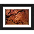 thumbnail image 1 of Paulson, Don 32x23 Black Ornate Wood Framed with Double Matting Museum Art Print Titled - Oregon, Portland Japanese maple in autumn color, 1 of 4