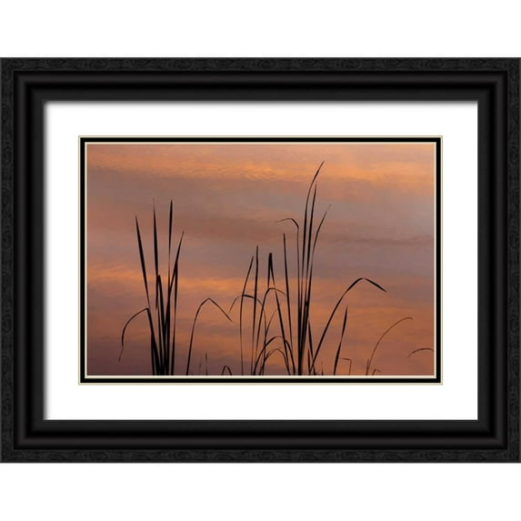 Paulson, Don 32x23 Black Ornate Wood Framed with Double Matting Museum Art Print Titled - TN, Falls Creek Falls SP Sunrise on cattails