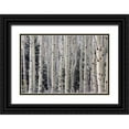 thumbnail image 1 of Paulson, Don 32x23 Black Ornate Wood Framed with Double Matting Museum Art Print Titled - USA, Utah Aspen trees in Hells Backbone area, 1 of 4