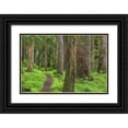 thumbnail image 1 of Paulson, Don 32x23 Black Ornate Wood Framed with Double Matting Museum Art Print Titled - Washington, Olympic NP Old growth forest, 1 of 4