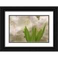 thumbnail image 1 of Paulson, Don 32x23 Black Ornate Wood Framed with Double Matting Museum Art Print Titled - White rhododendron blossoms and leaves, 1 of 4