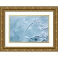 thumbnail image 1 of Paulson, Don 32x23 Gold Ornate Wood Framed with Double Matting Museum Art Print Titled - AK, Glacier Bay NP, McBride Glacier Ice detail, 1 of 4