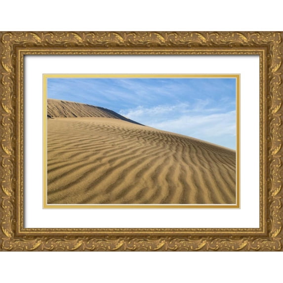 Paulson, Don 32x23 Gold Ornate Wood Framed with Double Matting Museum Art Print Titled - CA, Mohave National Preserve Rippled sand dunes