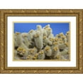 thumbnail image 1 of Paulson, Don 32x23 Gold Ornate Wood Framed with Double Matting Museum Art Print Titled - California, Joshua Tree NP Cholla cactus, 1 of 4