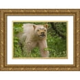 thumbnail image 1 of Paulson, Don 32x23 Gold Ornate Wood Framed with Double Matting Museum Art Print Titled - Canada, BC, Princess Royal Is Spirit bear mask, 1 of 4