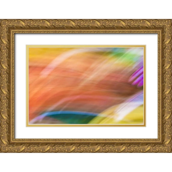 Paulson, Don 32x23 Gold Ornate Wood Framed with Double Matting Museum Art Print Titled - Mexico, Baja California, Tecate Abstract wash