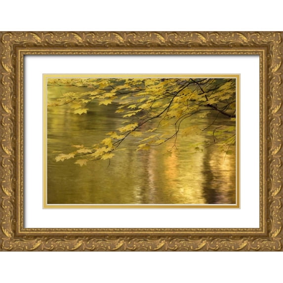 Paulson, Don 32x23 Gold Ornate Wood Framed with Double Matting Museum Art Print Titled - OR, Rogue River NF Vine maple over Rogue River