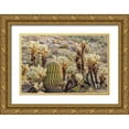 thumbnail image 1 of Paulson, Don 32x23 Gold Ornate Wood Framed with Double Matting Museum Art Print Titled - USA, Arizona, Tucson Desert scenic in Saguaro NP, 1 of 4