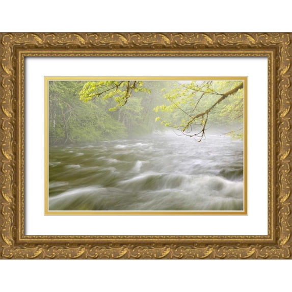 Paulson, Don 32x23 Gold Ornate Wood Framed with Double Matting Museum Art Print Titled - WA, Cascade Mts Cascading water in Beckler River