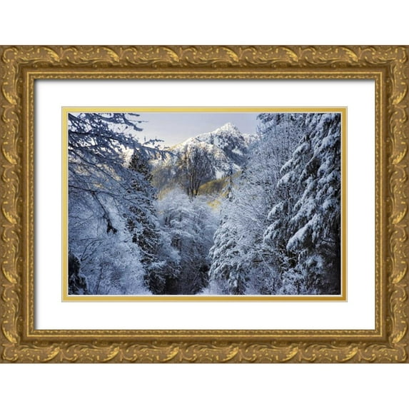 Paulson, Don 32x23 Gold Ornate Wood Framed with Double Matting Museum Art Print Titled - WA, Olympic NP Winter Hamma Hamma River Valley