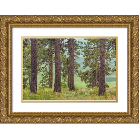 Paulson, Don 32x23 Gold Ornate Wood Framed with Double Matting Museum Art Print Titled - Washington, Palouse Hills Pine forest scenic