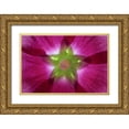thumbnail image 1 of Paulson, Don 32x23 Gold Ornate Wood Framed with Double Matting Museum Art Print Titled - Washington, Seabeck Hollyhock blossom composite, 1 of 4