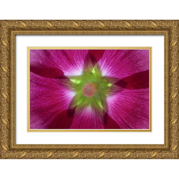 Paulson, Don 32x23 Gold Ornate Wood Framed with Double Matting Museum Art Print Titled - Washington, Seabeck Hollyhock blossom composite