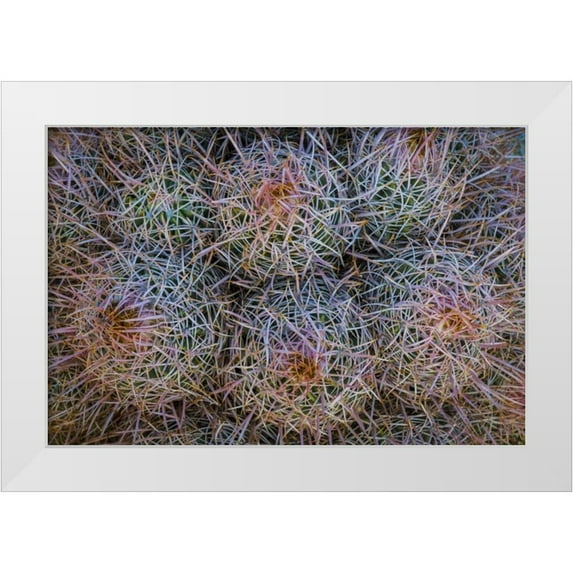 Paulson, Don 32x23 White Modern Wood Framed Museum Art Print Titled - California, Alabama Hills Detail of barrel cacti