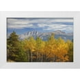 thumbnail image 1 of Paulson, Don 32x23 White Modern Wood Framed Museum Art Print Titled - Canada, Alberta, Jasper NP Autumn landscape, 1 of 4
